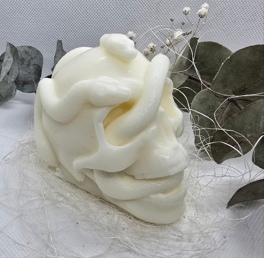 Totenkopf mit Schlange