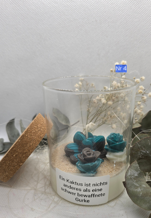 Kaktus Nr 4