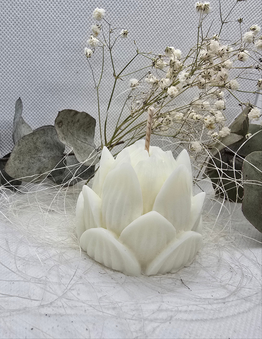 Weihnachtsblume