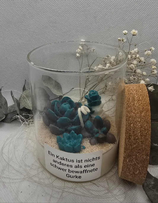 Kaktus Nr 1
