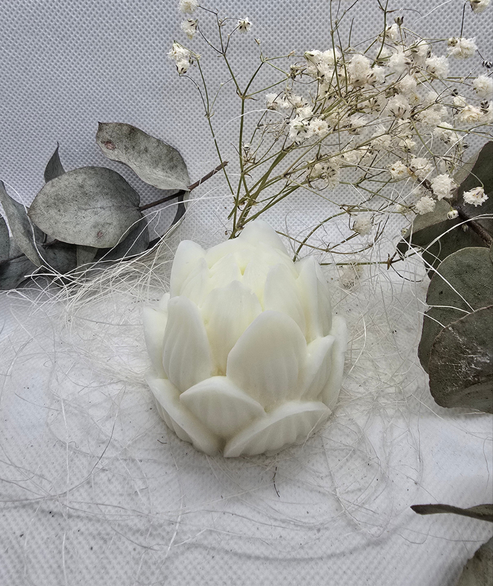 Weihnachtsblume