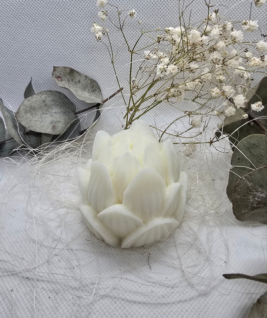 Weihnachtsblume