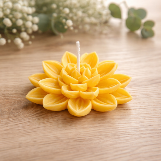 Chinesische Lotusblumen